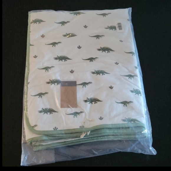 Kyte BABY Other - Kyte Baby Toddler Dinosaur Blanket New